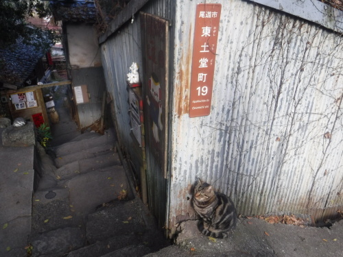d0174683_12170239.jpeg