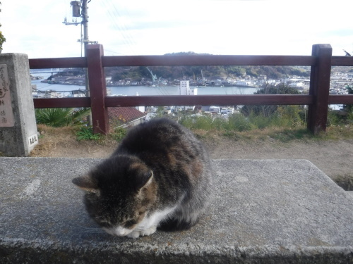 d0174683_12174230.jpeg