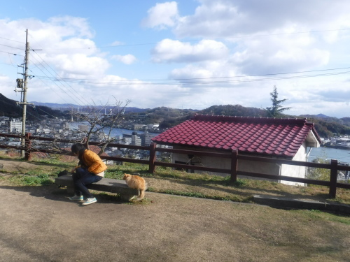 d0174683_12203224.jpeg