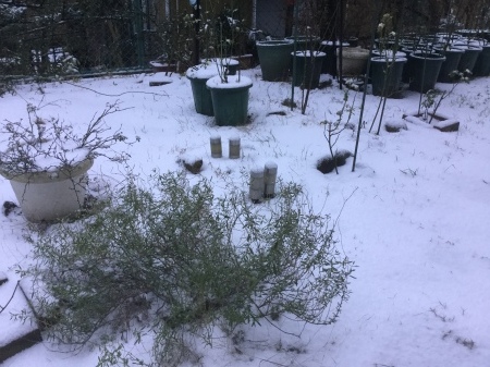 b0091187_22151873.jpeg
