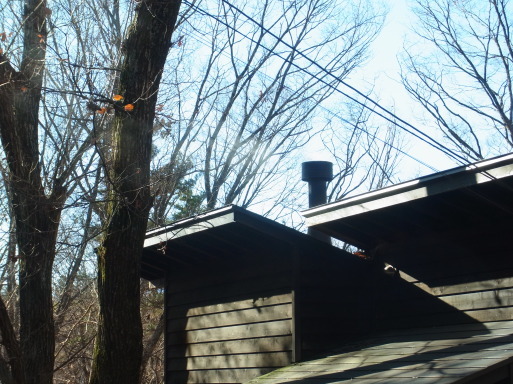 e0008887_11450124.jpg