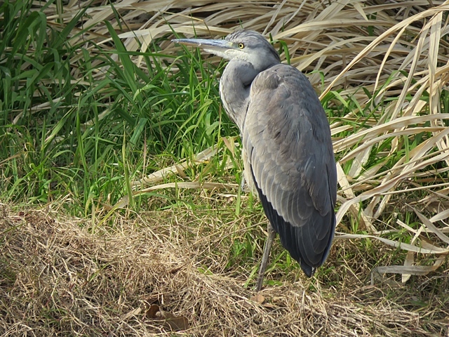 f0357487_22514355.jpg