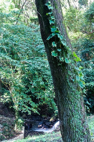 e0176993_07420608.jpg