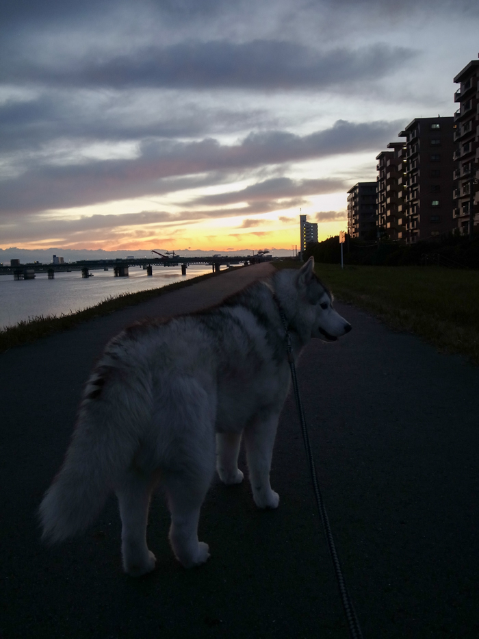 路地の向こうに (*^_^*)_c0049299_22544263.jpg