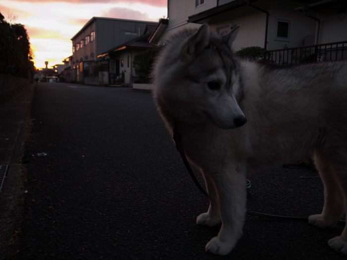 路地の向こうに (*^_^*)_c0049299_22565649.jpg