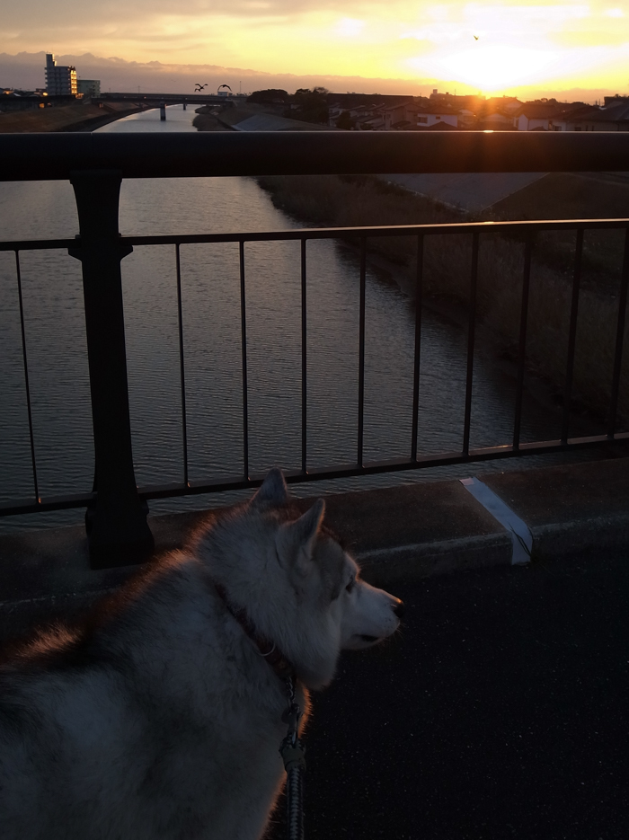 路地の向こうに (*^_^*)_c0049299_23023245.jpg
