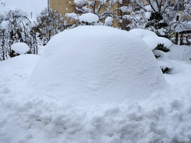 c0008502_16503976.jpg