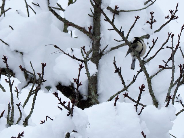 c0008502_16545074.jpg