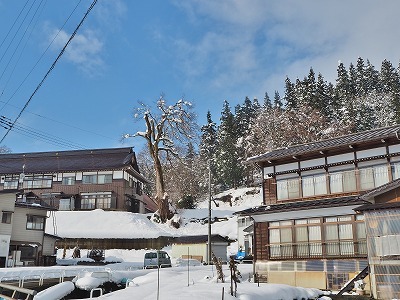 c0336902_19210116.jpg