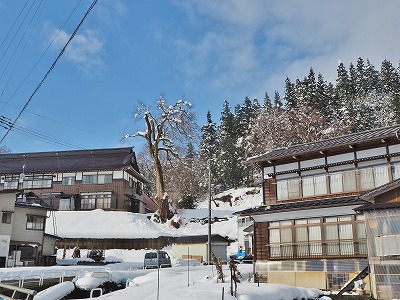 大雪の後の配送日でした_c0336902_19210116.jpg