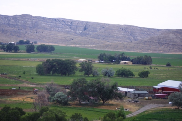 c0062603_22572480.jpg