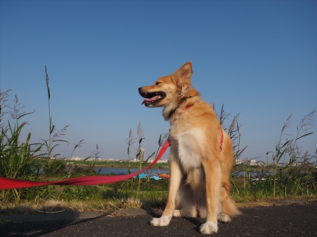 e0242804_22014343.jpg