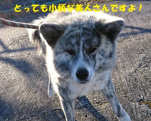 f0121712_14090780.jpg