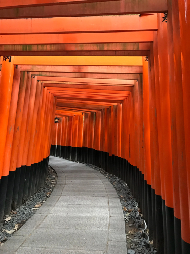 京都の紅葉 １日目_a0043814_19205357.jpg