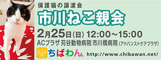 1/16引き出し編・レポート紹介　全　５９頭_f0078320_14394753.jpg