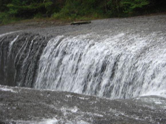 c0074721_15381747.jpg