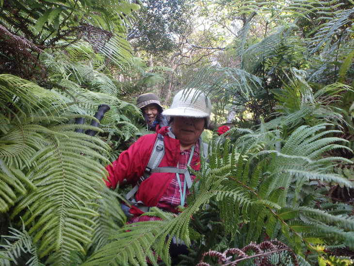 f0193521_6173661.jpg