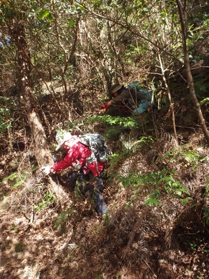 f0193521_6241432.jpg