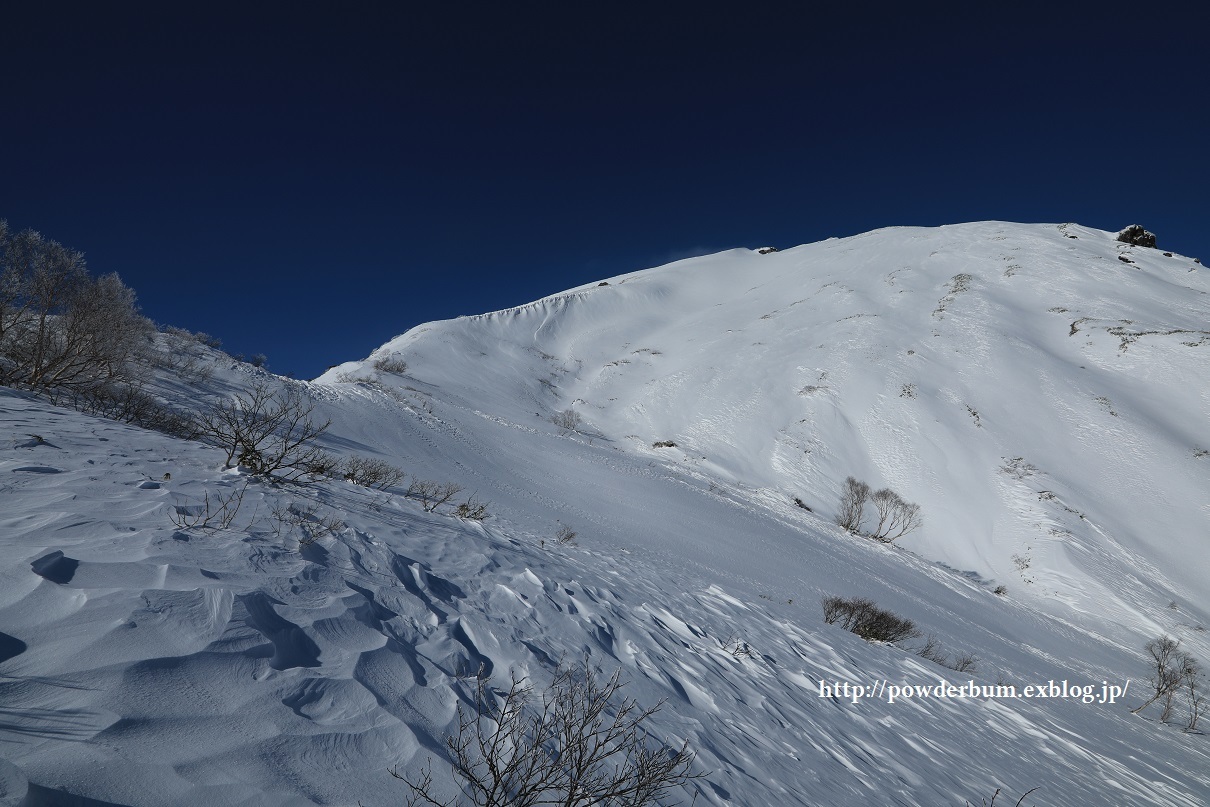 b0062024_21595904.jpg