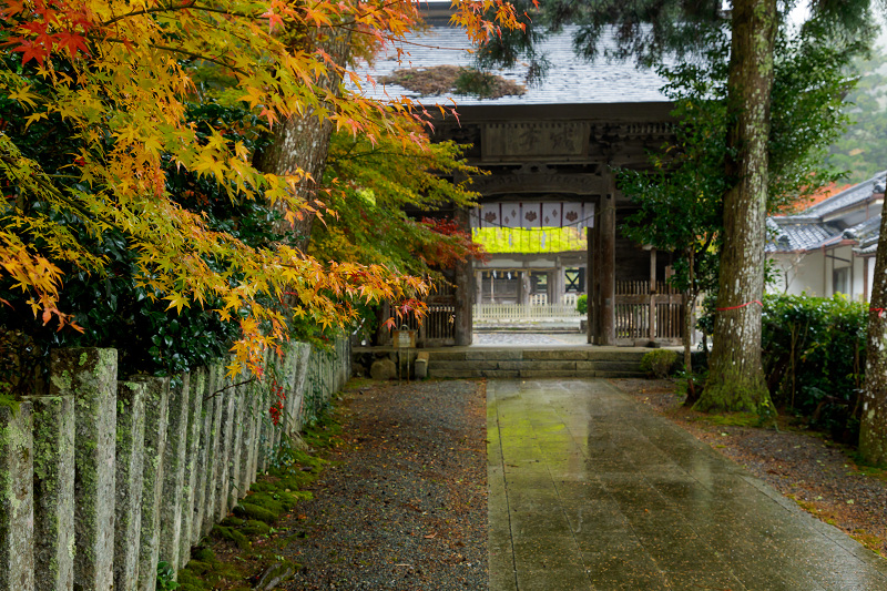 京都の紅葉2017 雨の摩氣神社_f0155048_22591311.jpg