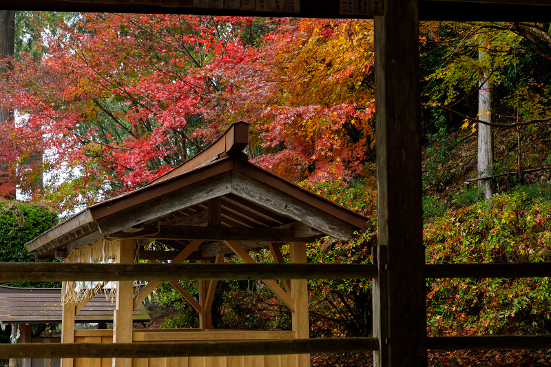 京都の紅葉2017 雨の摩氣神社_f0155048_2335843.jpg