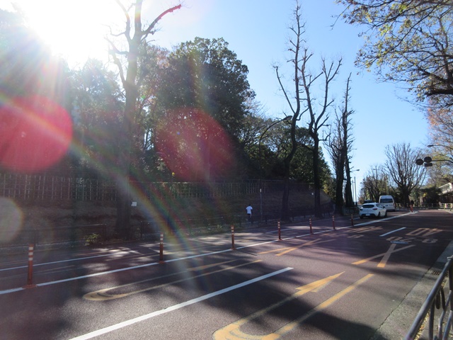 b0009849_2249344.jpg