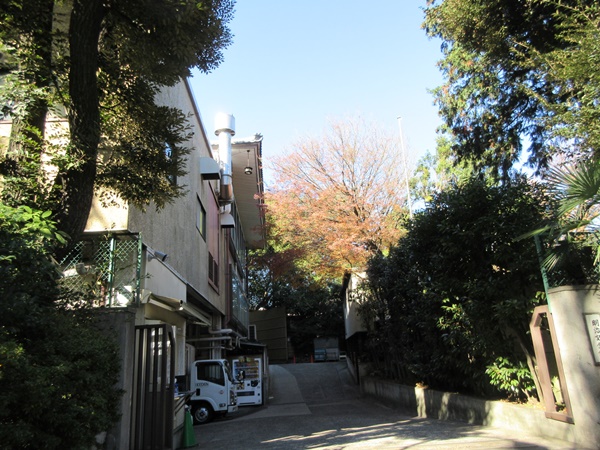 b0009849_22511353.jpg