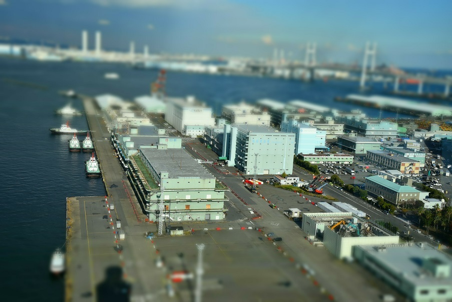 a0055650_16350001.jpg