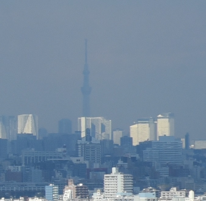 a0055650_16350521.jpg