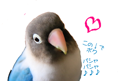 c0145250_09551363.png