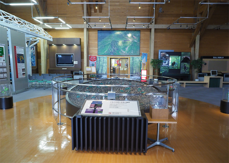 f0140054_07402722.jpg