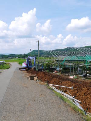 熊本ぶどう　社方園　トンネル式から連棟建てのハウスへ！徹底管理をして育てるための冬の作業の様子(前編)_a0254656_18061246.jpg