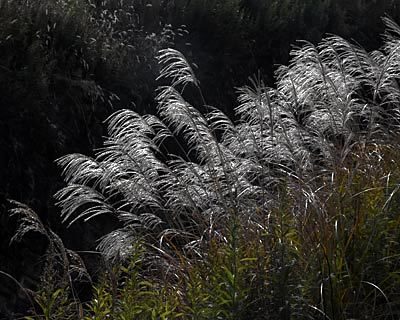 e0035757_21461030.jpg