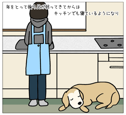 エフ漫画『老犬の特権』_c0033759_20070223.jpg