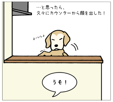 エフ漫画『老犬の特権』_c0033759_20070460.jpg