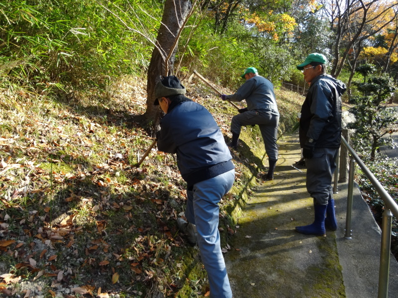 泉南メモリアルパークにササユリの球根植え付け_c0108460_16594560.jpg