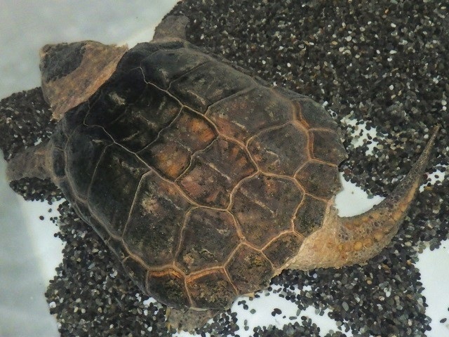 c0105569_01144280.jpg