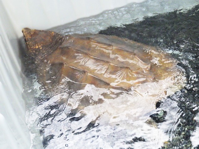 c0105569_01151156.jpg
