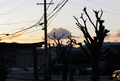 十五日　その二　　慰安婦像は日本に仕掛けられた罠。_c0243877_13274952.jpg