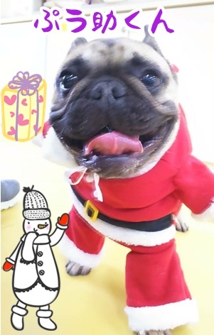 クリスマス先取り! 第2弾_f0357682_12362212.jpg