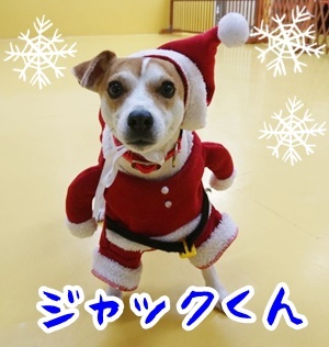 クリスマス先取り! 第2弾_f0357682_12365739.jpg
