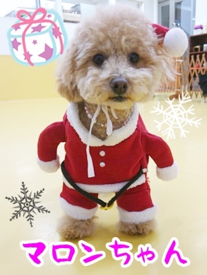 クリスマス先取り! 第2弾_f0357682_12371365.jpg