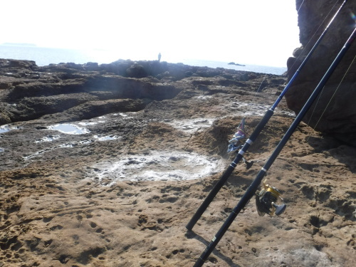 午後から釣行 (崎戸)_d0195183_23252348.jpeg