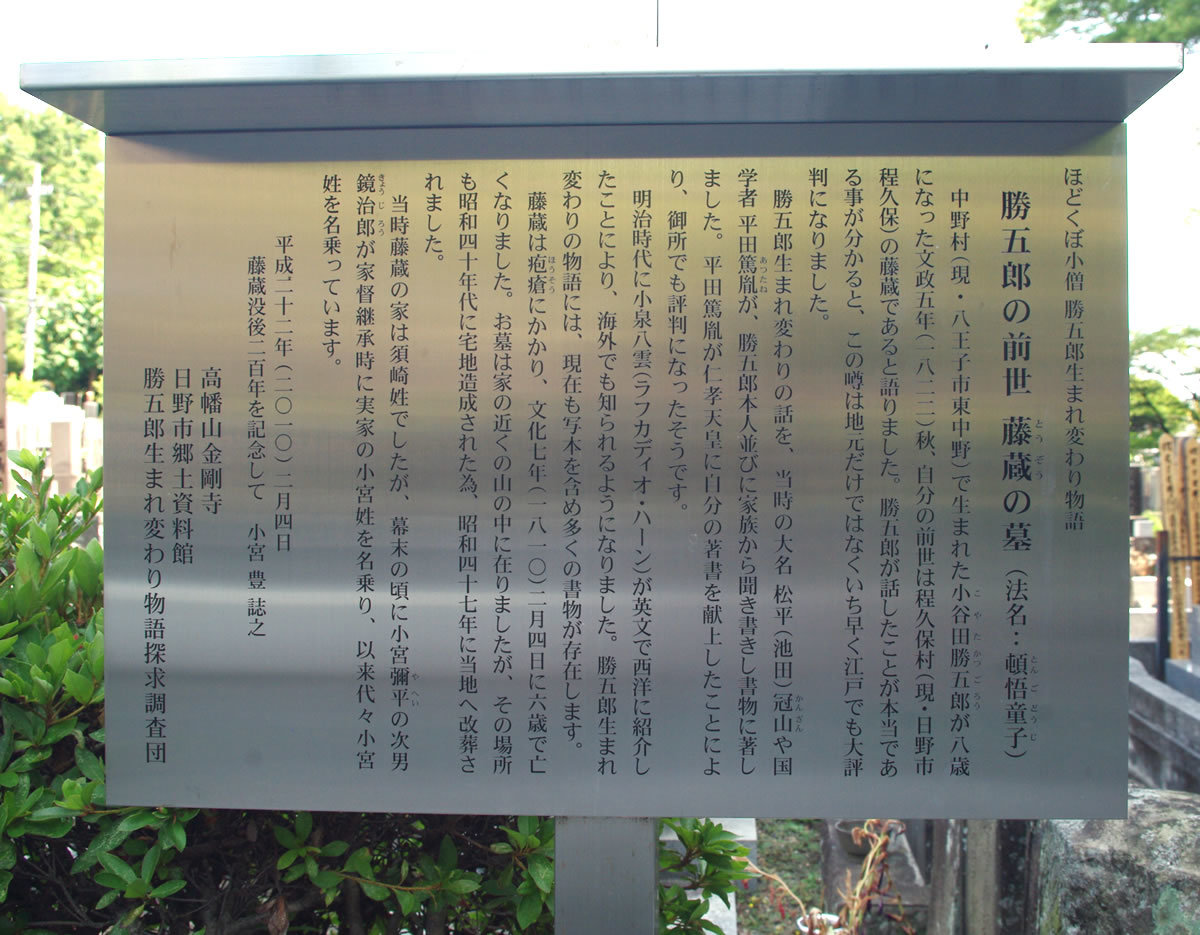 八王子見て歩記/生まれ変わり物語-4 : 八王子見て歩記