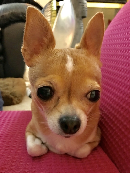 e0170687_13115820.jpeg