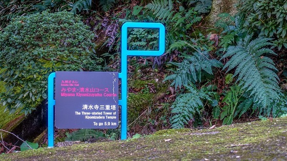 e0176993_07552069.jpg
