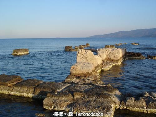 c0010496_07174829.jpg