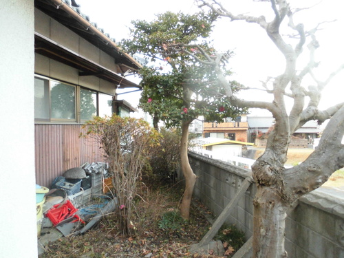 c0108198_183852.jpg