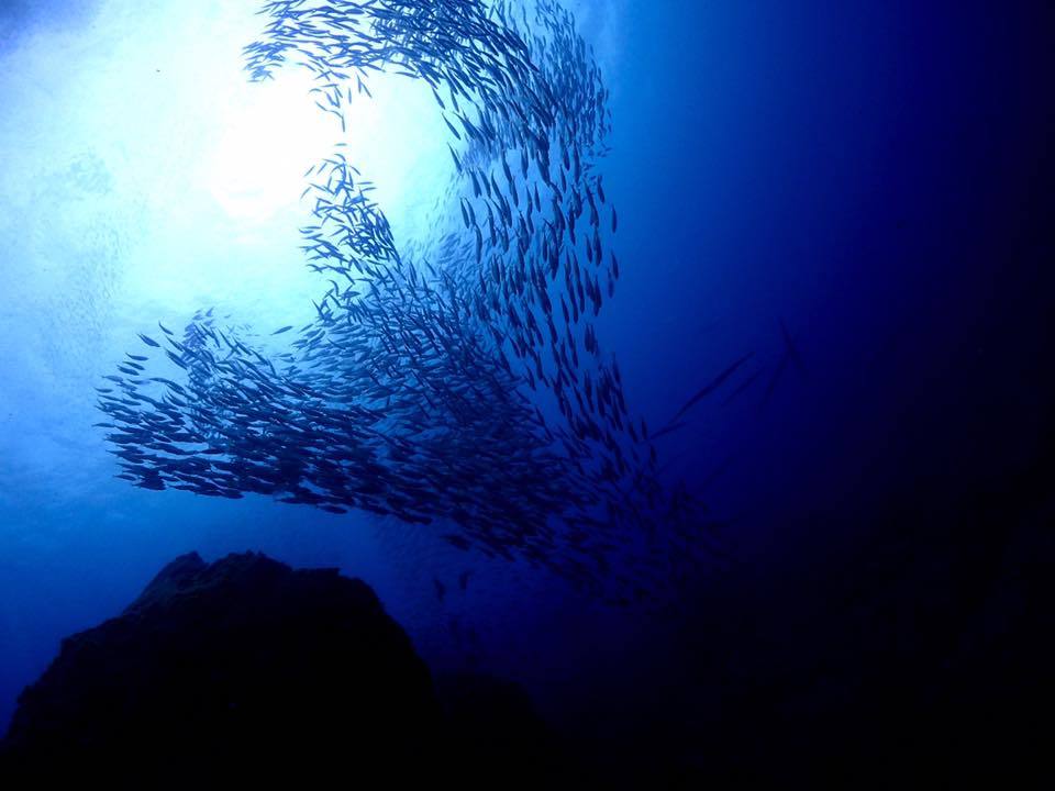 e0115199_13205043.jpg