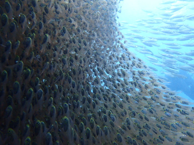 e0115199_13220346.jpg